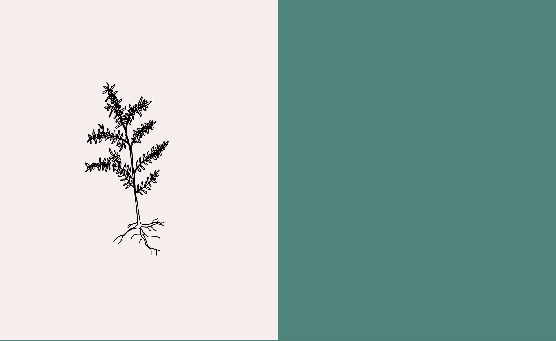 parallax background