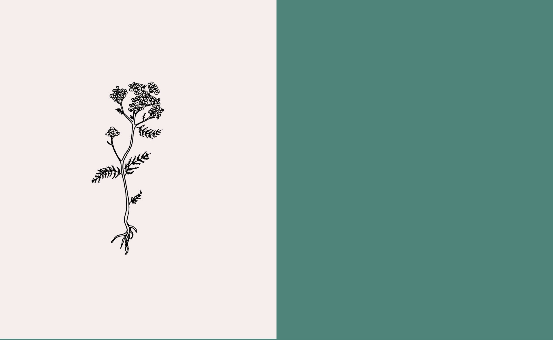 parallax background