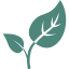 budding-leaves